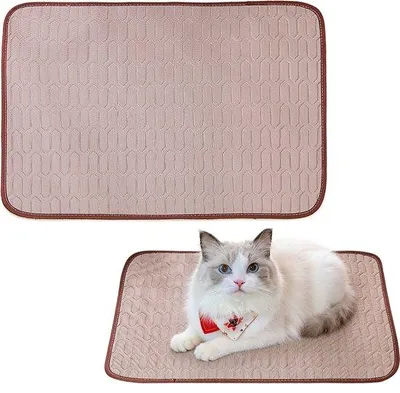 Produktbild von Kühlmatte für Haustiere – 62 x 50 cm – Frühlings- und Sommerkühlmatte für Katzen – IJszijdemat – Sommerkühlmatte aus Latex für Haustiere – Geeignet für Hunde und Katzen – Kann in Käfigen, Zwingern, Betten und auf Sofas verwendet werden – Maschinenwaschbar