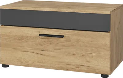 Image de Meuble de salon Vicco Berno Chêne doré/anthracite 70.8x38.9cm avec porte rabattable, Model 55466