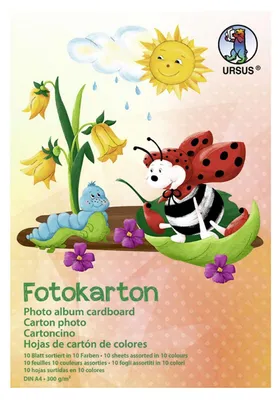Image de Carton photo A3 300g/m2 - 10 feuilles