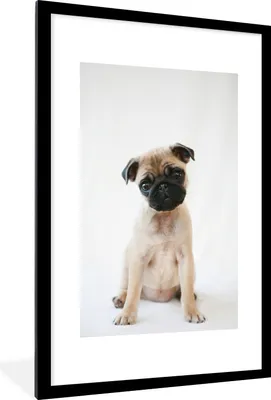 Produktbild von MuchoWow® Gerahmtes Poster Hund - Haustiere - Porträt 60x90 cm - Poster mit Schwarzem Bilderrahmen Wandposter Rahmen Foto Bilder - Dekoration - Wandposter Wohnzimmer - Hochwertig