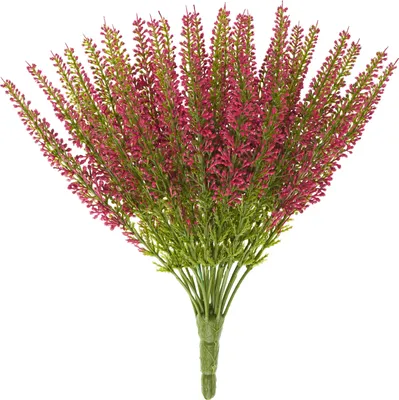 Produktbild von Erika, 24 Blütenstränge, L 26 cm Fuchsia