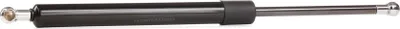 Produktbild von RIDEX 219G0530 Gasfeder Heckklappendämpfer für RENAULT Scénic I (JA0/1, FA0) 403mm