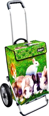 Produktbild von James Einkaufstrolley - RABBIT - stabiler Einkaufswagen mit individuellem Design - einfarbig: grün in Ausführung: Royal-Leichtraeder