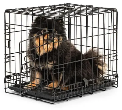 Immagine prodotto di gabbia da trasporto per animali lionto, gabbia pieghevole in metallo con parete divisoria, base in plastica e chiusura di sicurezza, 45x31x36 cm