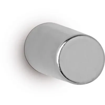 Immagine prodotto di MAUL Magnete rotondo 10 pezzi 1,6 kg Acciaio Metallo Neodimio magnetico Ø 0,5 x 1 cm argento