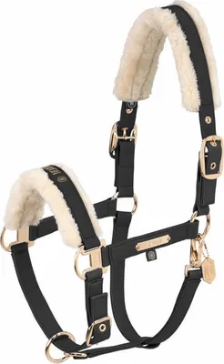 Produktbild von Eskadron HERITAGE Halfter " FAUX LEATHER DOUBLE PIN FF " Farbe - black Größe - Pony1