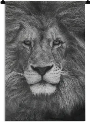 Produktbild von MuchoWow® Wandteppich Wandbehang Löwe - Schwarz - Porträt 120x180 cm Tapisserie Dekoration Wandtuch - Schlafzimmer - Dekorationen für das Haus
