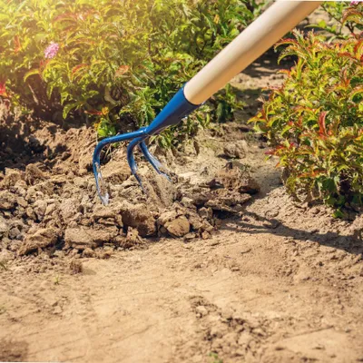 Image de Cultivateur, en acier inoxydable, longueur 142 cm, à fourches, pour le désherbage,  CE