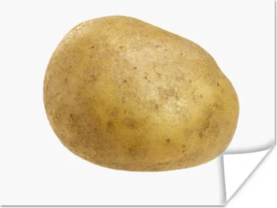Produktbild von MuchoWow® Poster Gemüse - Lebensmittel - Kartoffeln 160x120 cm - Foto Plakat