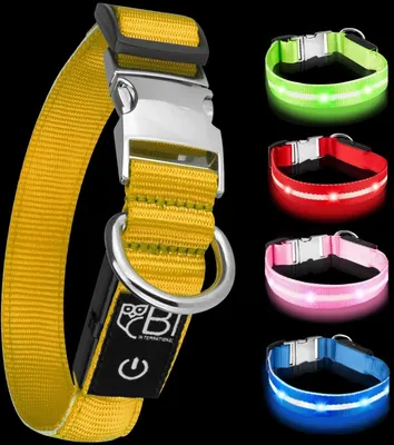 Produktbild von Lichthalsband für Hunde [das Original] leuchtende LED-Hundehalsband zum Spazierengehen, auch im Dunkeln, sehr lange Batterielebensdauer, sicher dank hochwertigem Metallschluss