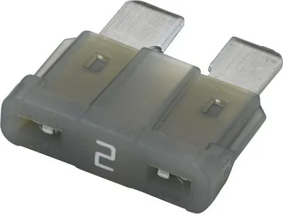 Immagine prodotto di Flachsicherung 2A - Bli5 8Js 711 683-841