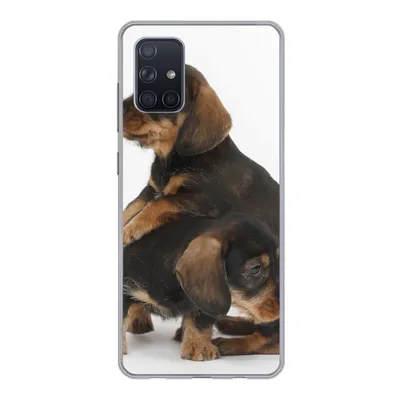 Produktbild von MuchoWow® Handyhülle Schutzhülle Hülle für Samsung Galaxy A51 Studiofoto von zwei süßen Dackeln Silikon Softcase Handy Hülle - Schutzabdeckung