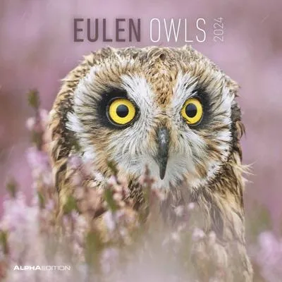 Produktbild von Eulen 2024 - Broschürenkalender 30x30 cm (30x60 geöffnet) - Kalender mit Platz für Notizen - Owls - Bildkalender - Wandplaner - Eulenkalender