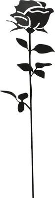 Image de Fiche de jardin Rose