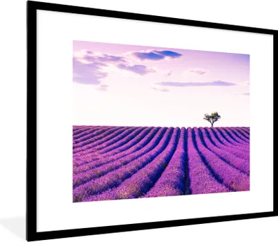 Produktbild von MuchoWow® Gerahmtes Poster Lavendel - Bäume - Lila - Blumen 80x60 cm - Poster mit Schwarzem Bilderrahmen Wandposter Rahmen Foto Bilder - Schlafzimmer-Dekorationen - Fotoposter
