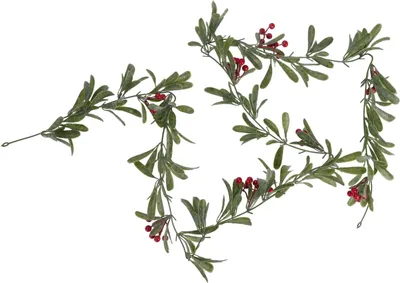 Image de Rode Bessenslinger, 180 cm