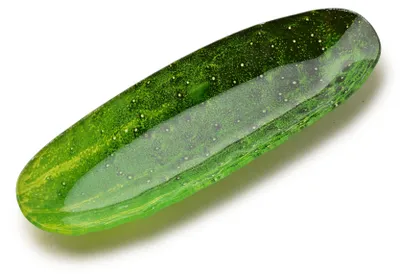 Zdjęcie produktu dla Aria Fresh Naczynie Ogórek 9X25X2 Cm