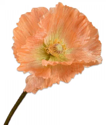Produktbild von Silk-ka Seidenblume Mohn Orange (63cm)