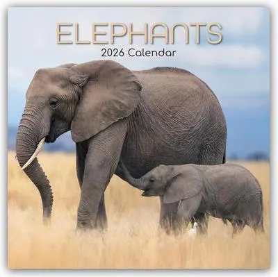 Produktbild von Elephants - Elefanten 2026 - 16-Monatskalender