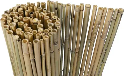 Produktbild von Bambusmatte Budget Natur 180 x 180 cm