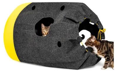 Produktbild von Katzenteppich Spielmatte, Spielsack für Katzen - Interaktives Katzenspielzeug zur Beschäftigung