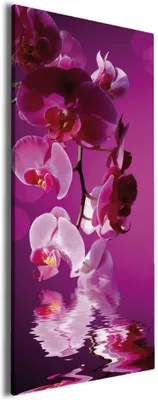 Produktbild von Wallario Premium Leinwandbild Rosafarbene Orchidee  Blüten in pink in Größe 50 x 125 cm