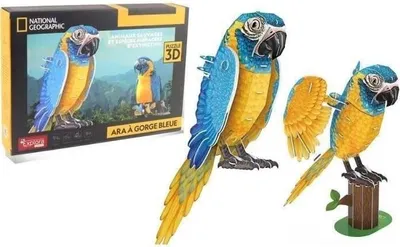 Produktbild von 3D Puzzle, Papagei, 94 Teile, EXPLORA, Konstruktionsspielzeug, Ab 8 Jahren, 30,3 cm montiert