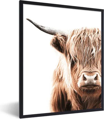 Produktbild von MuchoWow® Gerahmtes Poster Schottischer Highlander - Kuh - Weiß 60x80 cm - Poster mit Schwarzem Bilderrahmen Wandposter Rahmen Foto Bilder - Premium - Wanddeko Wohnzimmer