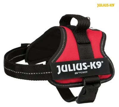 Produktbild von Julius-K9® IDC Powergeschirr®, S / Mini: 51–67 cm / 28 mm, rot