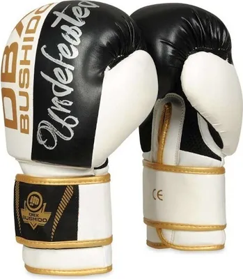Immagine prodotto di Guanti da boxe DBX BUSHIDO B-2v16 12oz