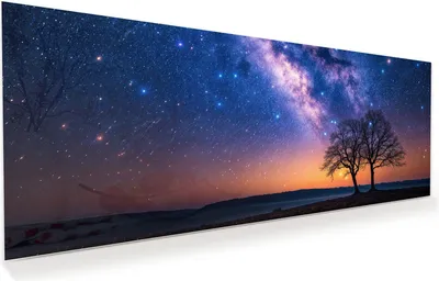 Produktbild von Glasbild 125x50cm in XXL für Wohnzimmer, Schlafzimmer Motiv Sternenhimmel Baum