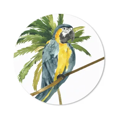 Produktbild von MuchoWow® Mauspad Mousepad Dschungel - Papagei - Zweig 40x40 cm - Mousepads - Maus Mat - Pad - Mausunterlage - Schreibtisch Accessoires