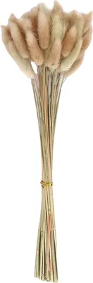 Produktbild von Getrocknetes Grasbündel, Kaninchenschwanz-Arrangements für Hochzeit, Heimdekoration, Fotografie-Requisite