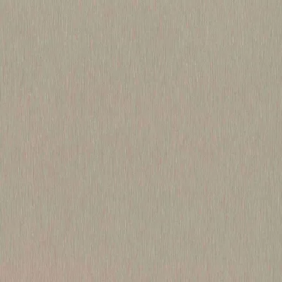 Produktbild von Rasch Vliestapete Color Your Life 810141 Uni Einfarbig Tapete 10.05 x 0.53 m Braun Wohnen Schlafen Küche Flur Eingangsbereich