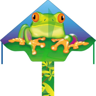 Zdjęcie produktu dla Kinderdrachen HQ Simple Flyer 120 Froggy 102160 Grün 120 x 75 cm + 150 cm ogon