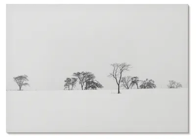 Produktbild von POSTER - 29x21 cm (A4) - Wandal - Minimalistische Winterlandschaft mit Bäumen und Frieden -  Wandbild für Wohnzimmer Schlafzimmer & Flur, Modernes Poster Wanddeko, Ungerahmt
