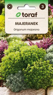 Zdjęcie produktu dla Nasiona ziół Majeranek zioła - Toraf 300
