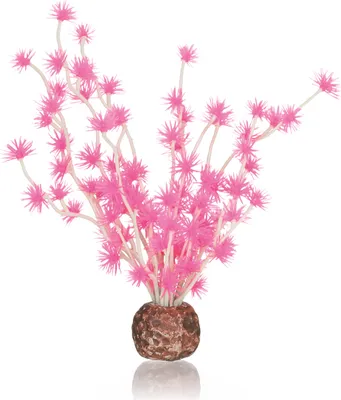 Obrázek produktu pro biOrb Bonsai ball pink