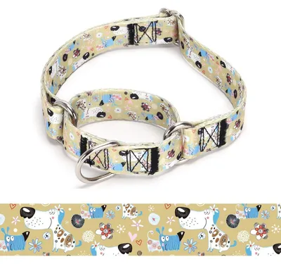 Zdjęcie produktu dla Obroża dla psa typu Martingale, nylonowa, regulowana, rozmiar L: 45–53 cm, model A85NO13
