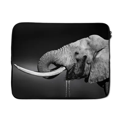 Produktbild von MuchoWow® Laptop Hülle 17 Zoll Laptoptasche Elefant - Wasser - Tiere - Schwarz - Weiß - Zipper - Schutzabdeckung