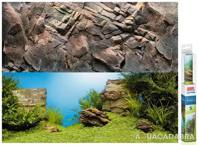 Immagine prodotto di Poster 1 S (60 x 30 cm)