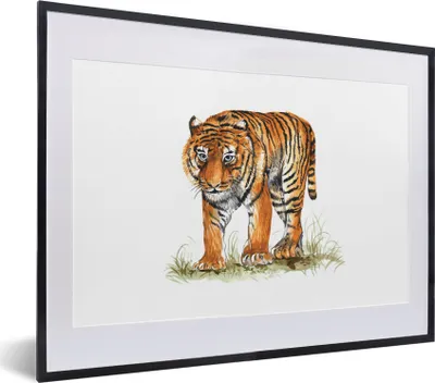 Produktbild von MuchoWow® MuchoWow® Gerahmtes Poster Tiger - Gras - Bild 40x30 cm - Poster mit zchwarzem Bilderrahmen - Bilderrahmen - Poster im Rahmen