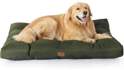 Produktbild von Hundekissen XXL 111x89cm waschbar gepolstert grün 10cm Höhe