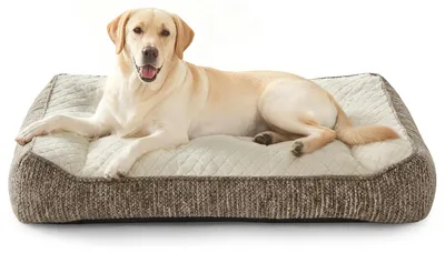 Produktbild von Orthopädisches Hundebett für große Hunde, waschbar und abnehmbar, Hundesofa mit erhöhtem Rand, rutschfest, weiches Fleece