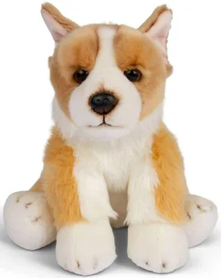 Obrázek produktu pro ANIMIGOS, svět přírody, plyšová hračka, corgi, 30 cm