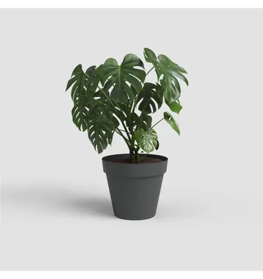 Immagine prodotto di Vaso Capri in terracotta 30 cm - Vaso da fiori classico in terracotta chiara - Artevasi