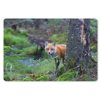 Produktbild von MuchoWow® Mauspad Mousepad Fuchs - Baum - Waldtier - Herbst 27x18 cm - Mousepads - Maus Mat - Pad - Mausunterlage - Büroartikel - Desk Matten