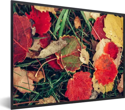 Produktbild von MuchoWow® Gerahmtes Poster Blätter - November - Herbst - Natur 40x30 cm - Poster mit Schwarzem Bilderrahmen Wandposter Rahmen Foto Bilder - Kunstposter - Wanddekorationen