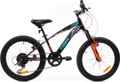 Productafbeelding van Kindermountainbike voor jongens, 20-inch wielmaat, geschikt vanaf 6 jaar, met 6 versnellingen Shimano RevoShift, merk Tiger Bike