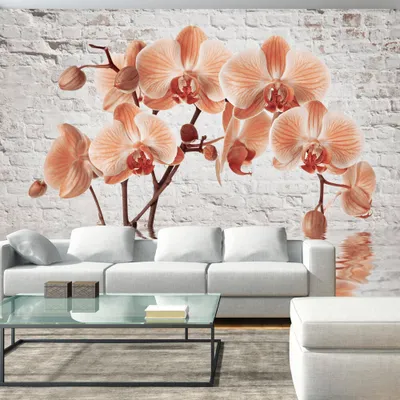 Produktbild von Basera Fototapete Orchideenmotiv b-A-0228-a-c, Vliestapete, 150x105 cm